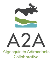 Algonquin to Adirondacks Collaborative